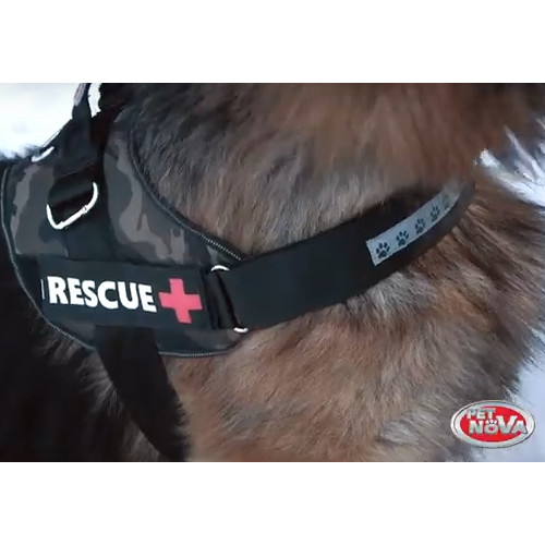 Pet Nova Szelki dla psa Rescue 55-65cm Czerwone M
